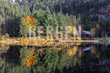 Høst ved Skomakerdiket på Fløyen i Bergen