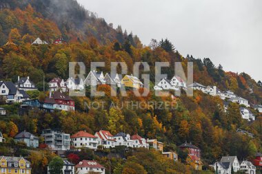 Høst på Fjellsiden i Bergen