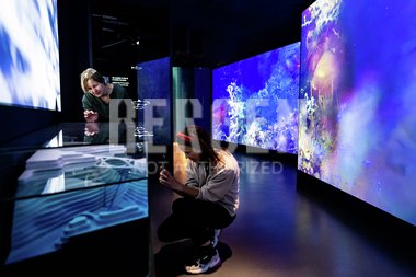 Storeblå - Museum Vest