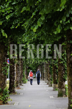 Haugeveien på Klosteret i Bergen sentrum