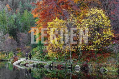 Høst ved Skomakerdiket på Fløyen i Bergen