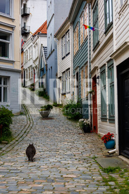 Et av Bergens mange sjarmerende smau