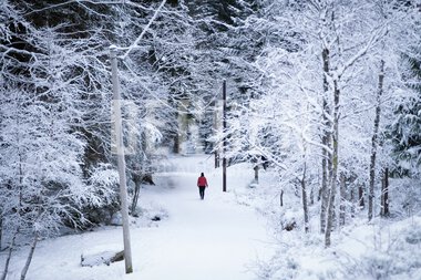 Vinter på Fløyen i Bergen
