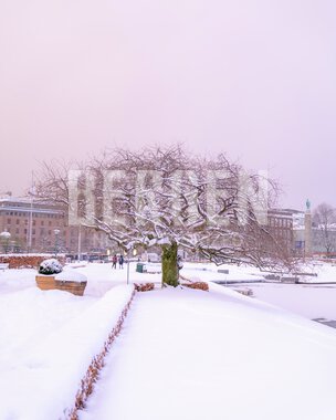 Vinter i Bergen sentrum