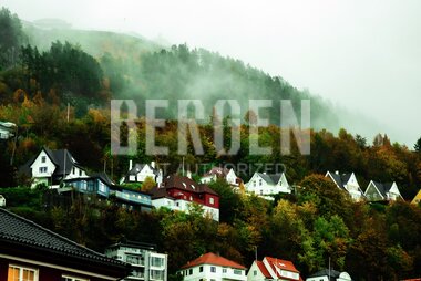 Fløyen i høsttåke