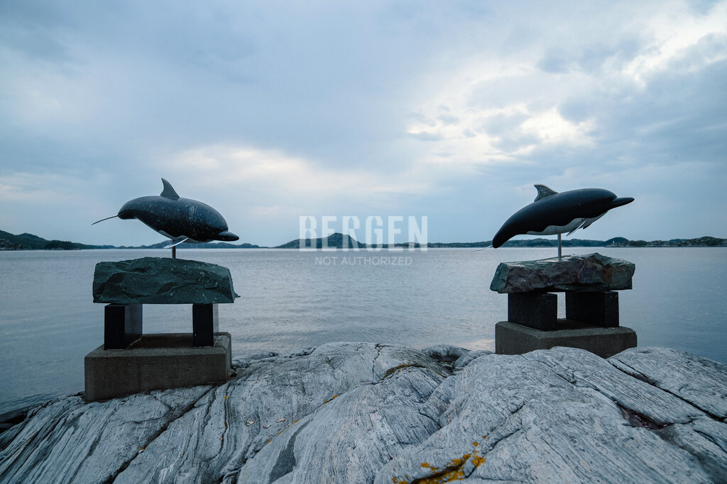 Blue Garden på Skjerjehamn 