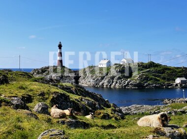 Fedje - landsbyen i havet