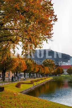 Høst i Bergen ved Lille Lungegårdsvann