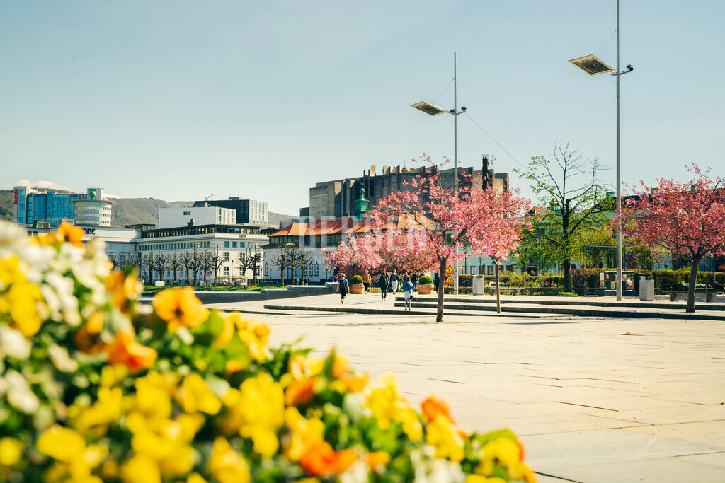 Sommer i Bergen