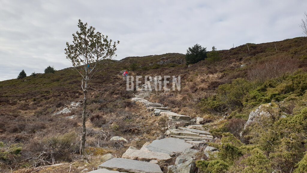 Kongskleiva  i Austevoll kommune sør for Bergen