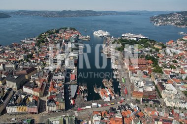 Vågen i Bergen sett fra sør