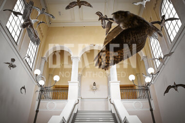 Universitetsmuseet i Bergen 