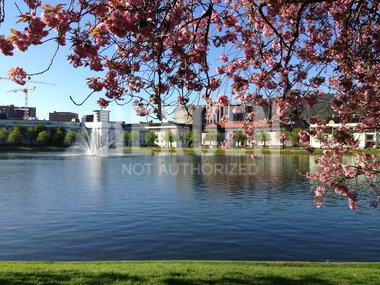 Lille Lungegårdsvann