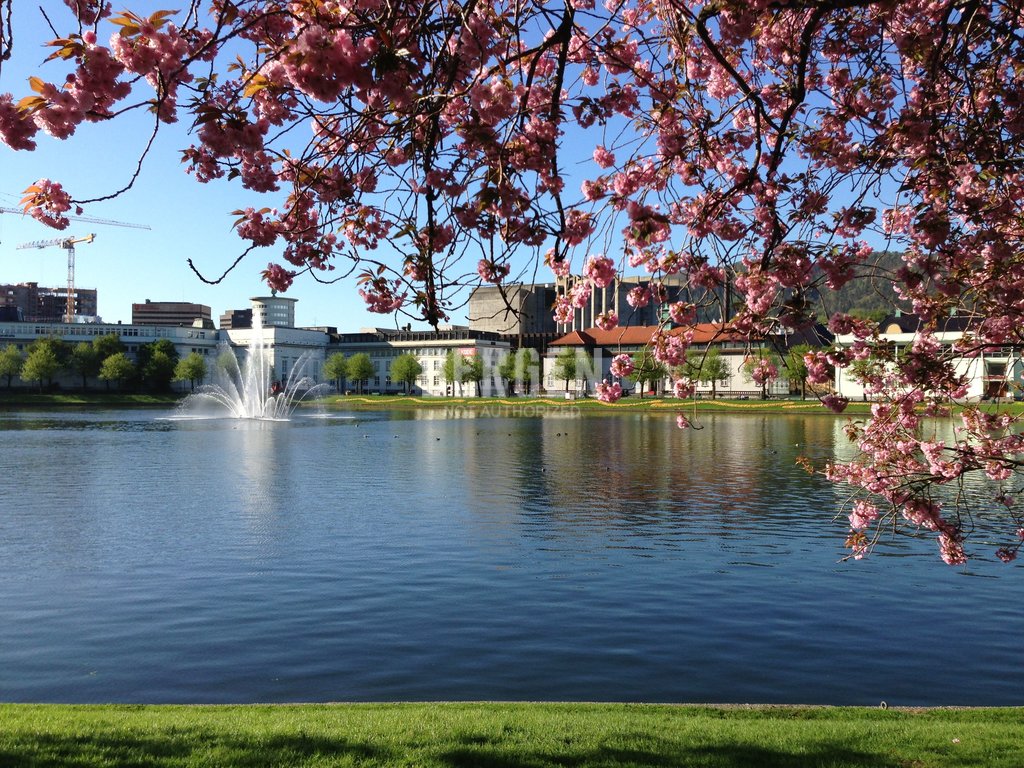 Lille Lungegårdsvann