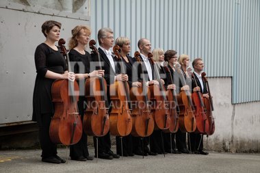 Cellogruppen oppstilt på rekke