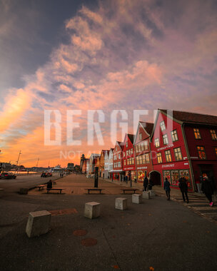 Bryggen i solnedgang