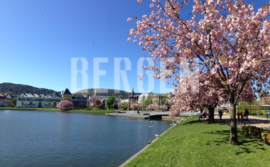 Lille Lungegårdsvann