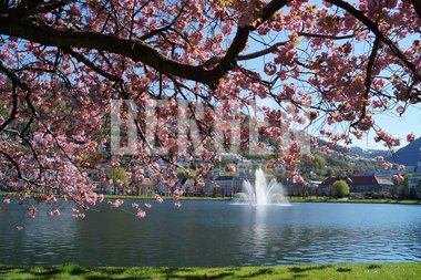 Lille Lungegårdsvann