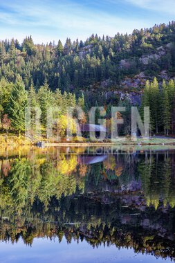 Høst ved Skomakerdiket på Fløyen i Bergen