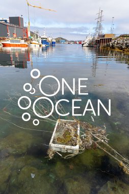  Visit to Nuuk, July 29- August 5, 2025 