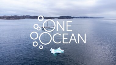  Statsraad Lehmkuhl seilerr forbi isfjell utenfor Nuuk, Grønland. August 2025. 