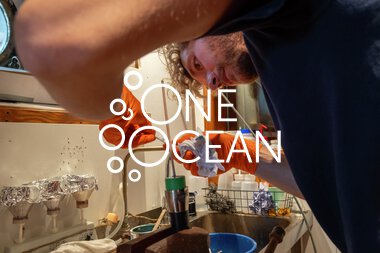  Seilas til Bermuda med UiT Norges arktiske universitet: Chief Engineer Morten Thøgersen is repairing a broken cable in the Rosette.