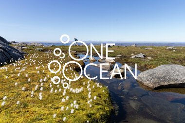  Visit to Nuuk, July 29- August 5, 2025 