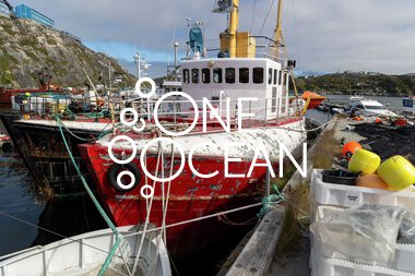  Visit to Nuuk, July 29- August 5, 2025 