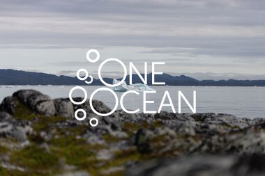  Visit to Nuuk, July 29- August 5, 2025 