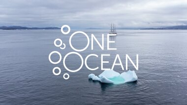  Statsraad Lehmkuhl seilerr forbi isfjell utenfor Nuuk, Grønland. August 2025. 