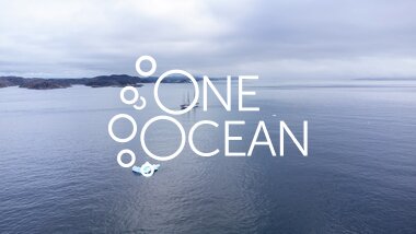  Statsraad Lehmkuhl seilerr forbi isfjell utenfor Nuuk, Grønland. August 2025. 