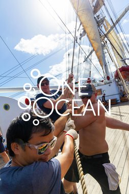 Drar i tau, Seilmanøver 