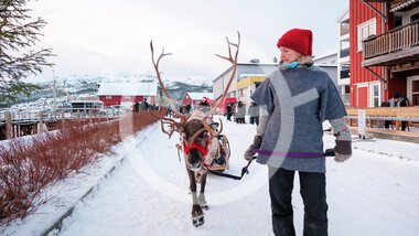 Christmas on the Mountain