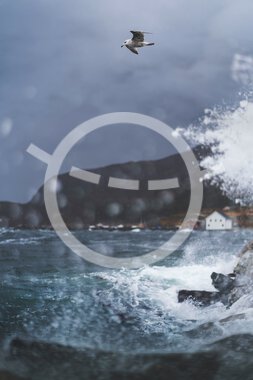 Winter at Støtt in Meløy