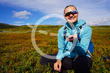 The Nordland Trekking Trail