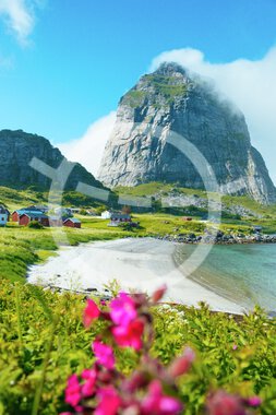 Summer on the island of Sanna in Træna
