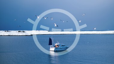 Fishing boat on Vega