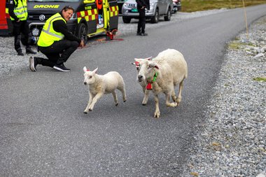 Ulendt 2024, Samtrening for hele redningskjeden