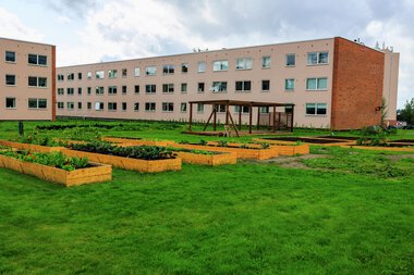 Urbant landbruk Løvenstad