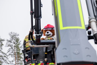 Bjørnis besøker Rælingen