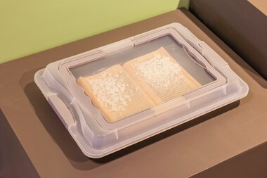 Kunstvisitten på Løkta