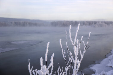 Vinter på Årnestangen
