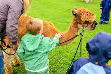 Torva barnehage 20 år