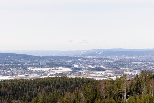 Bjønnåsen
