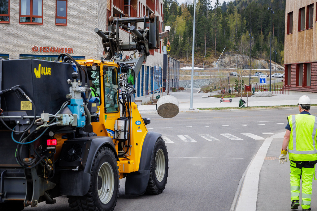 Flaggstenger til 17. mai