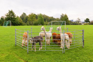 Torva barnehage 20 år