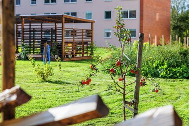 Urbant landbruk Løvenstad