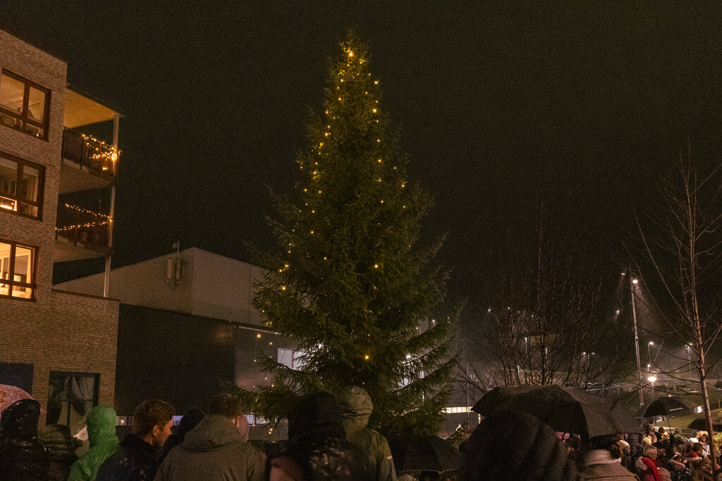 Julegrantenning på Ravinen