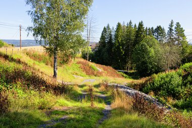 Kulturminneløypa i Byåa