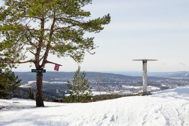 Bjønnåsen